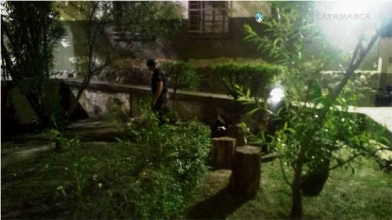 Perros adiestrados encontraron restos de estupefacientes en una escuela