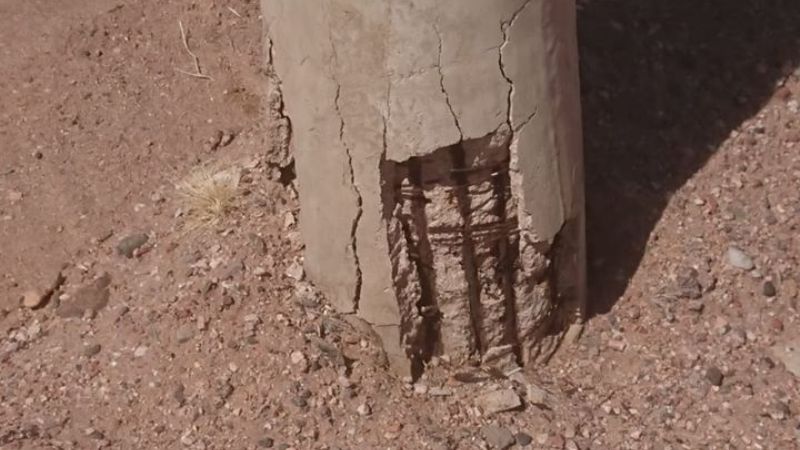 Los animales afectan las líneas y el servicio de energía