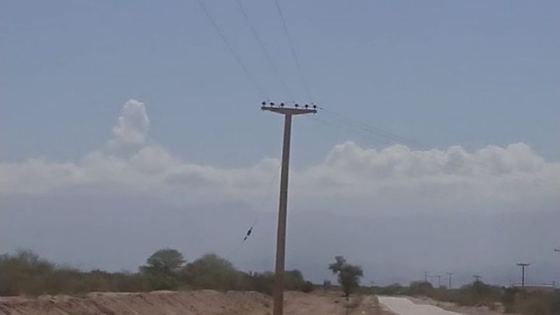 Los animales afectan las líneas y el servicio de energía