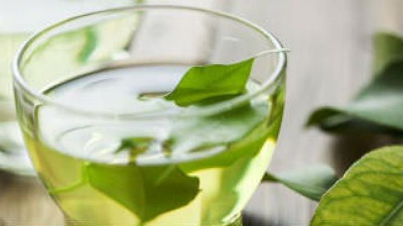 En 2019, creció la exportación de té verde