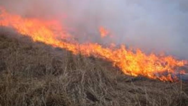 Incendios en distintos sectores de la ciudad