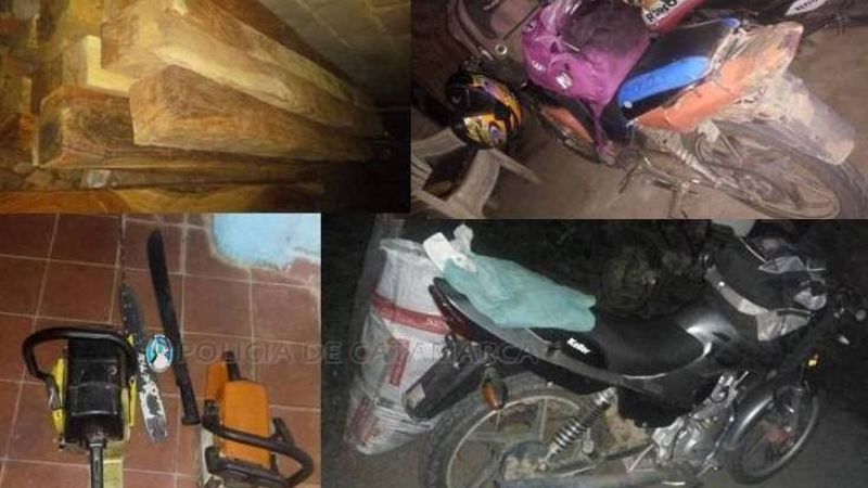 Arrestan a dos hombres por talar árboles en Ancasti