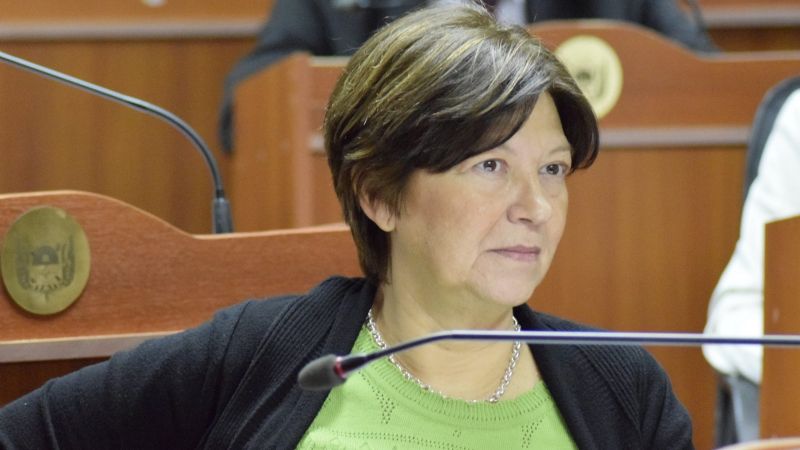 “No debemos dejar de ejercer el rol de militantes”