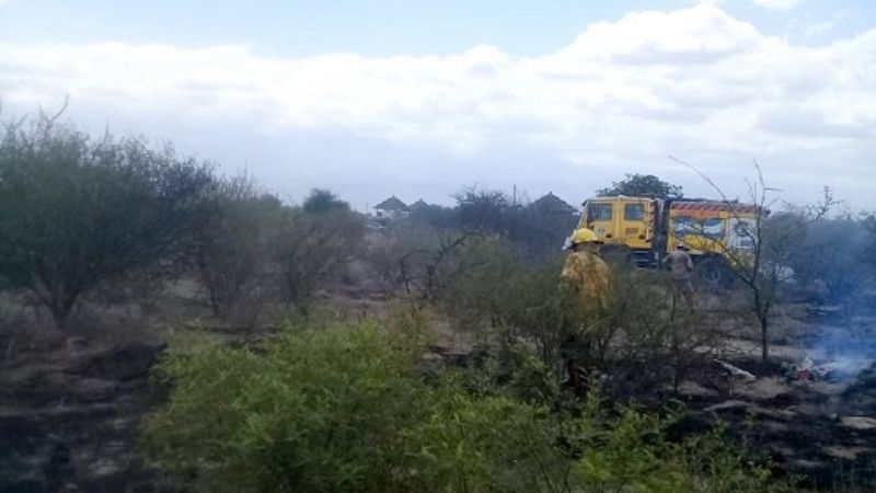 Los incendios forestales alcanzaron el máximo histórico