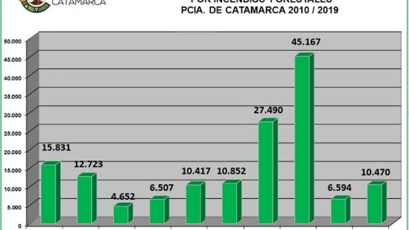 Los incendios forestales alcanzaron el máximo histórico