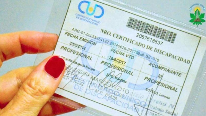Discapacidad: en dos días deben restablecerse todas las pensiones