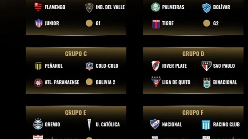 River en el “grupo de la muerte” de la Libertadores
