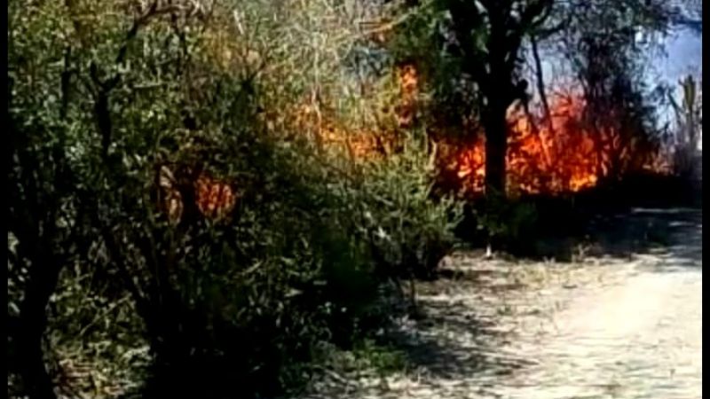 Incendios forestales en Valle Viejo, Huillapima y Banda de Varela