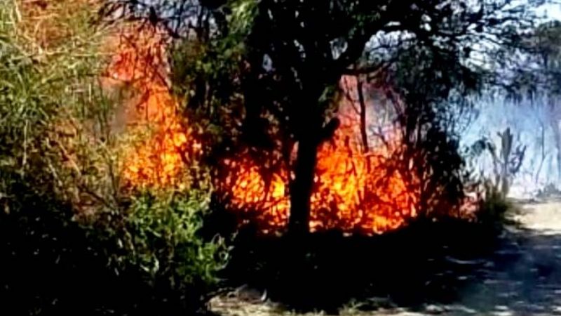 Incendios forestales en Valle Viejo, Huillapima y Banda de Varela