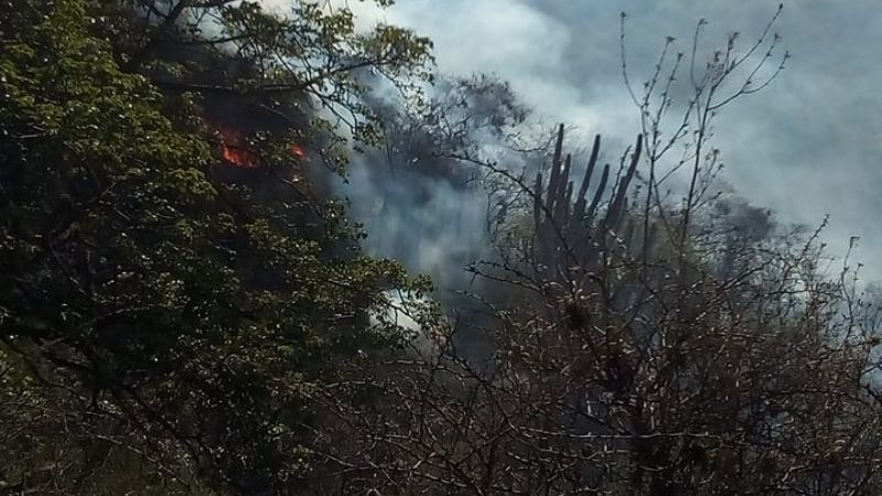 Incendios forestales en Valle Viejo, Huillapima y Banda de Varela