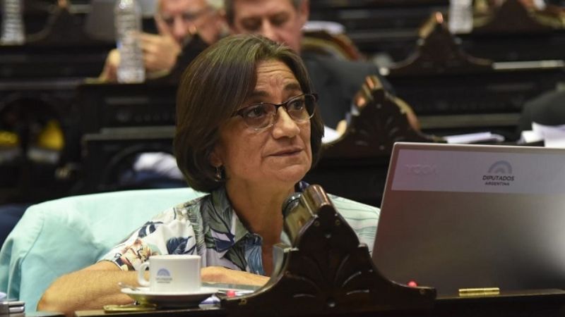 Corpacci fue designada en dos comisiones en Diputados