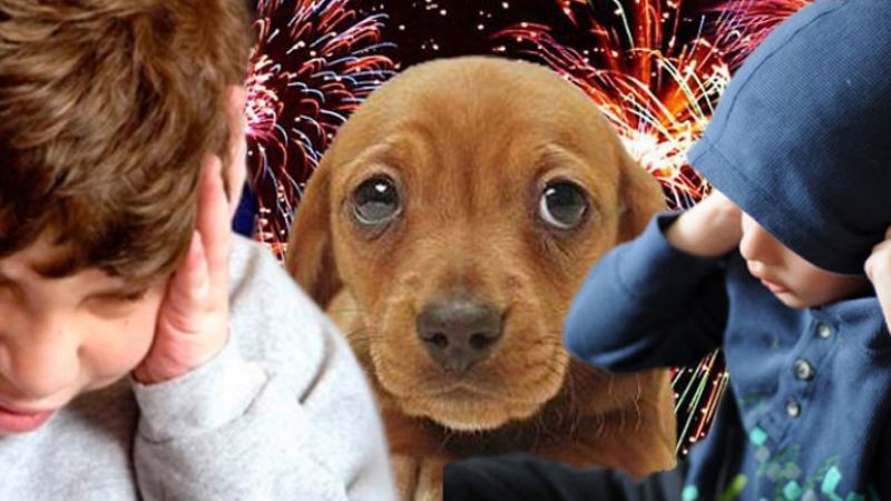 Prohíben pirotecnia sonora en la Capital