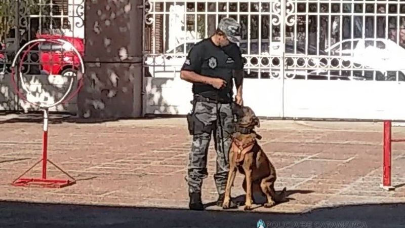 Visita de personal de la División Canes de la Policía al Hospital de Niños
