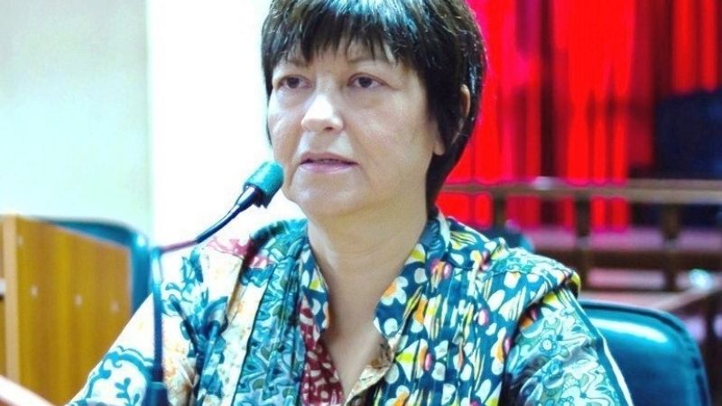 Activo y productivo año de la diputada Adriana Díaz