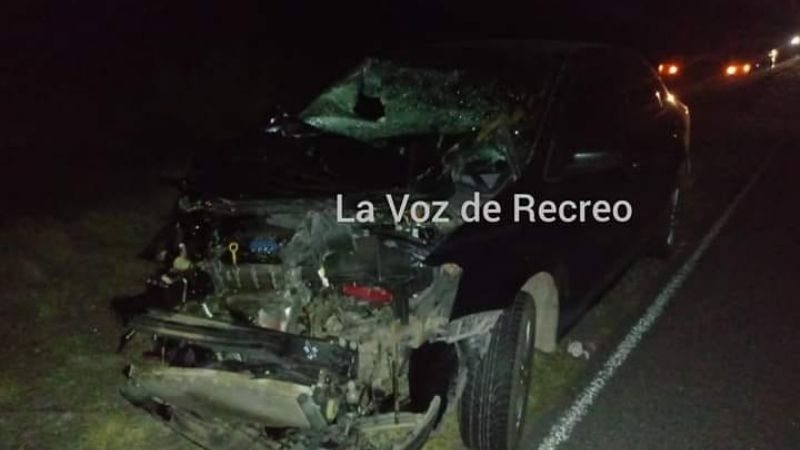 Fuerte choque por un animal en la ruta 20, en La Paz