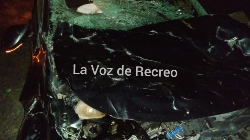 Fuerte choque por un animal en la ruta 20, en La Paz