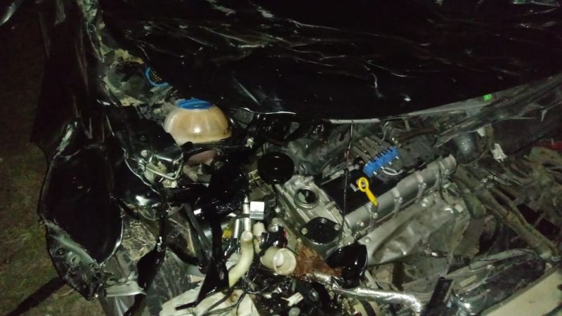 Fuerte choque por un animal en la ruta 20, en La Paz