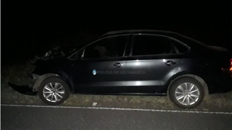 Fuerte choque por un animal en la ruta 20, en La Paz