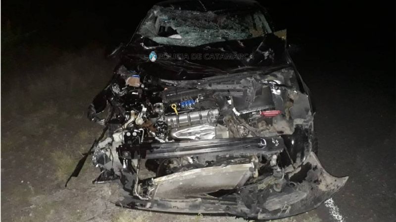 Fuerte choque por un animal en la ruta 20, en La Paz