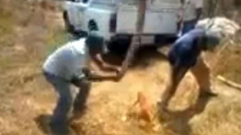 Enfrentó a un delincuente a los “garrotazos”