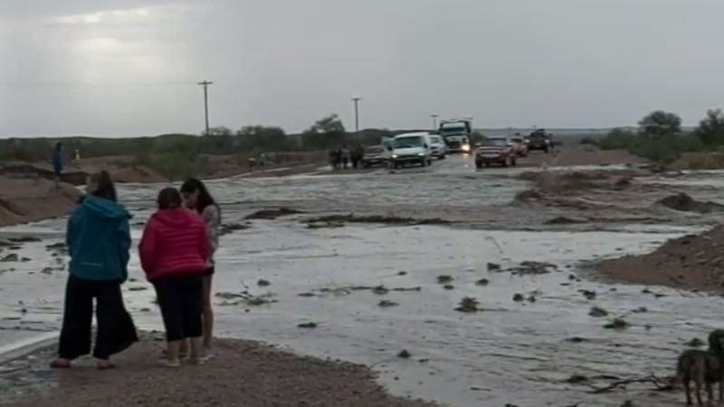 Solicitan transitar con precaución en Ruta 40