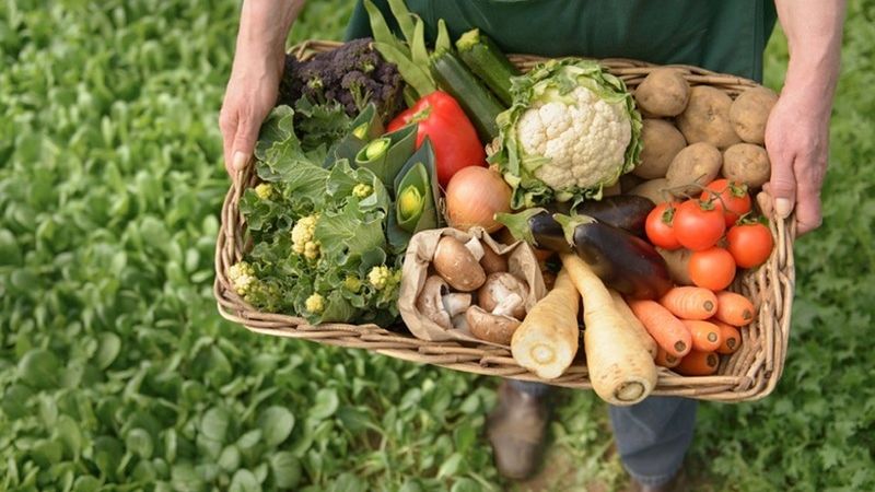 La producción orgánica se instalará en el PCPC