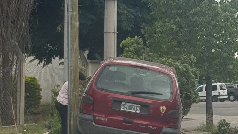 Perdió el control y chocó contra un árbol