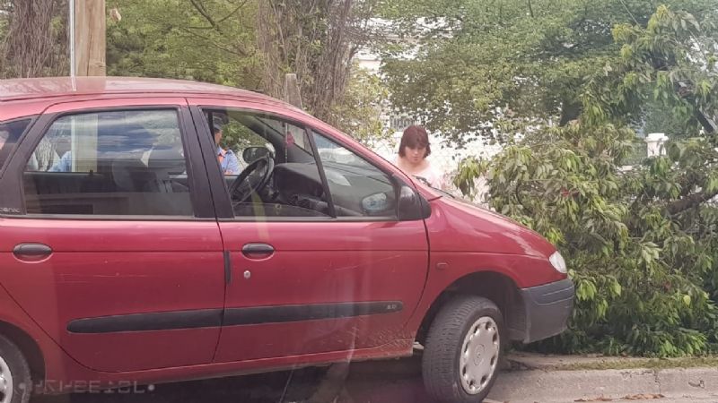 Perdió el control y chocó contra un árbol