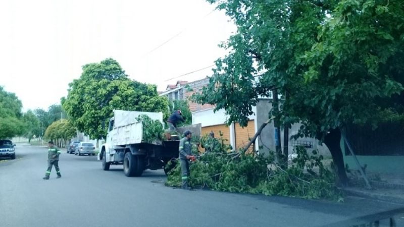 Todas las áreas municipales afectadas al operativo por la Procesión