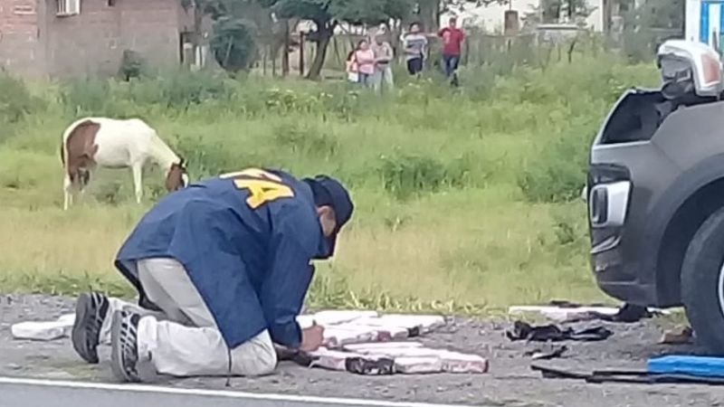 Operativo antidrogas en Ruta Nacional N°157: incautan 40 kilos de marihuana