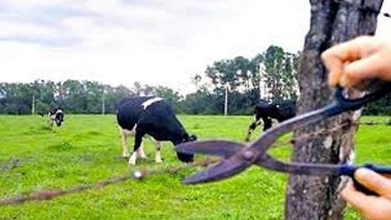 Era buscado por abigeato