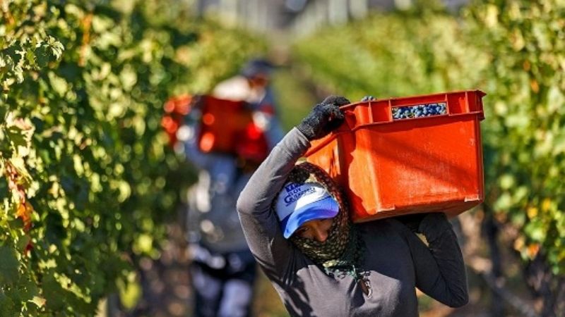 El Gobierno aplicará baja de impuestos para favorecer economías regionales