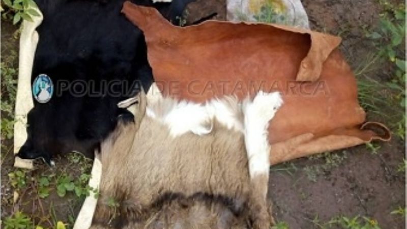 Esclarecen un ilícito en Belén