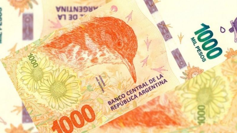 Alertan en redes por circulación de billetes falsos de $ 1.000: cómo detectarlos