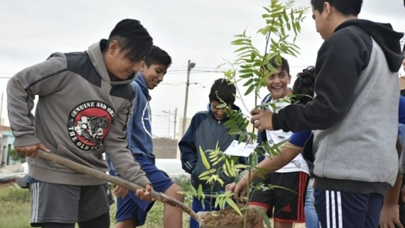 Comenzó el Plan Regulador de Arbolado Urbano
