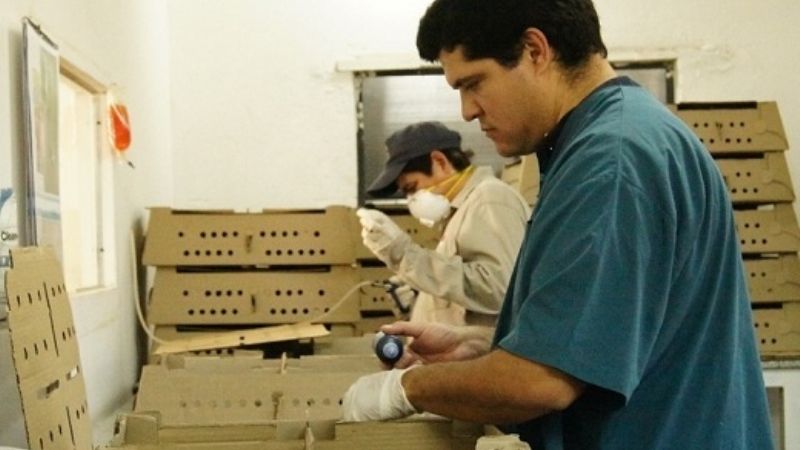 Línea de Microcréditos de Fomento al Emprendedor