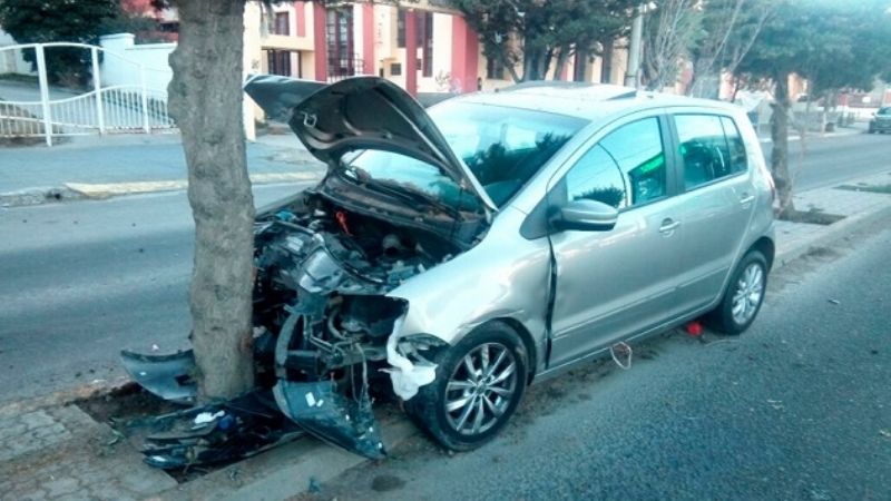 Se estrelló contra un árbol