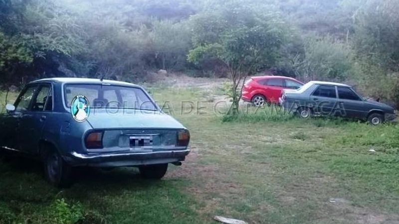 Secuestran seis automóviles en los Puestos Camineros