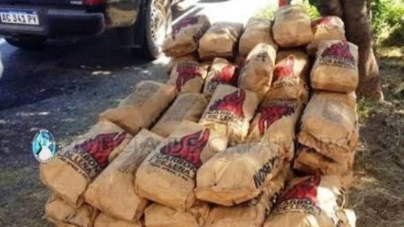 Secuestran 134 bolsas de carbón