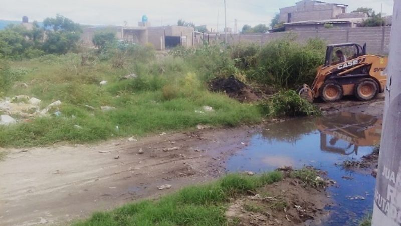 Operativo de limpieza en baldíos y espacios públicos de la ciudad