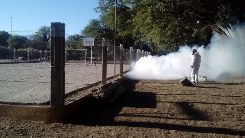 Fumigan varias escuelas en Santa María