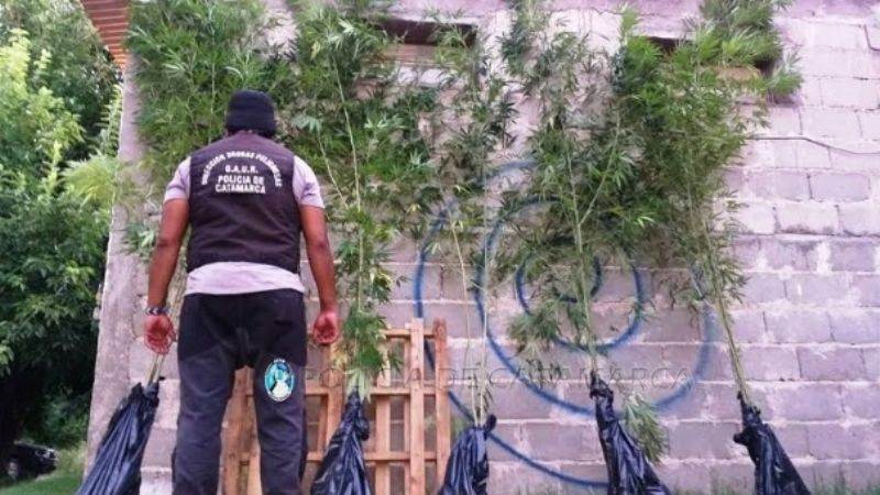 Gran golpe a las drogas en Andalgalá