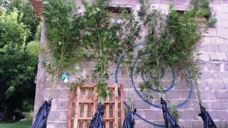 Gran golpe a las drogas en Andalgalá