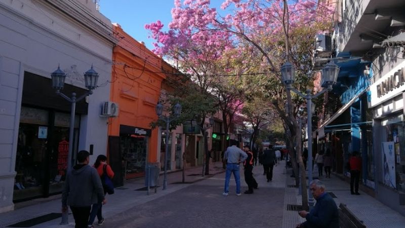Detienen a una mujer por intentar robar en la Peatonal