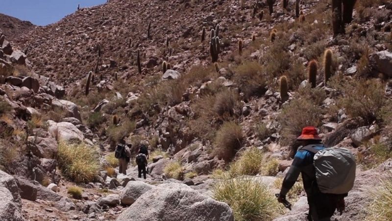 UNCA TV presenta una miniserie realizada en Laguna Blanca