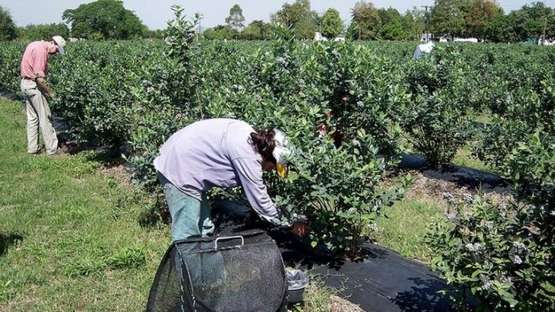 Competitividad de las economías regionales bajó 1,7% en 2018