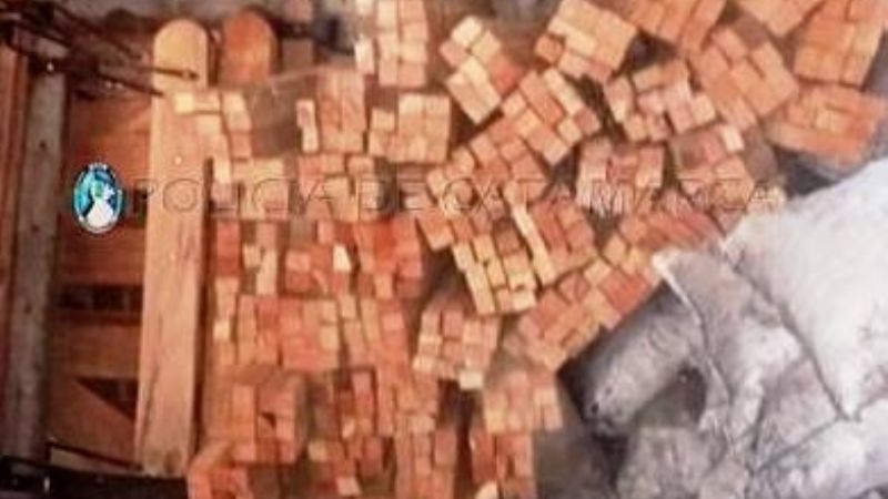 Secuestran material forestal en el Puesto Caminero El Portezuelo