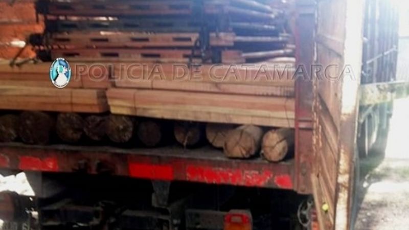 Secuestran material forestal en el Puesto Caminero El Portezuelo