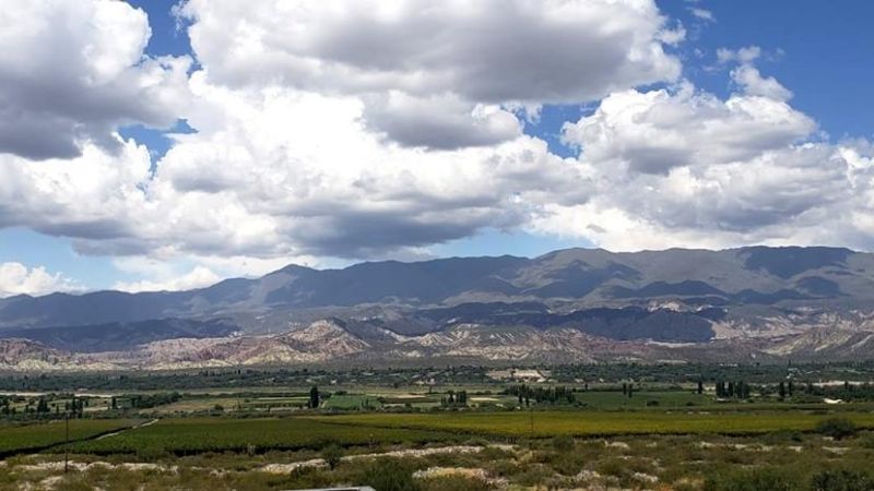 Sánchez se reunió con el grupo Peñaflor de Bodega El Esteco en Chañar Punco