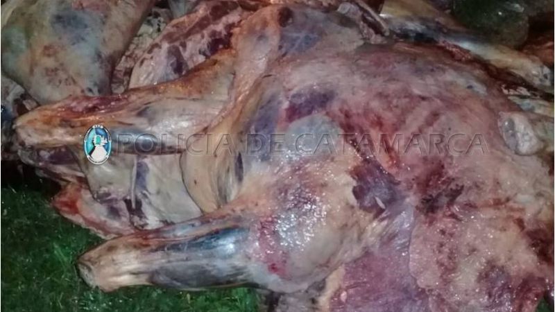 Secuestran carne vacuna en Paclín